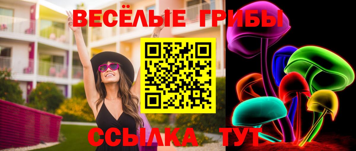 Зима  Галлюциногенные грибы ЛСД  Вход с VPN 