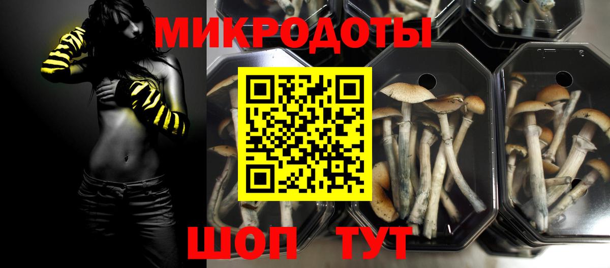 Галлюциногенные грибы MAGIC MUSHROOMS Зима