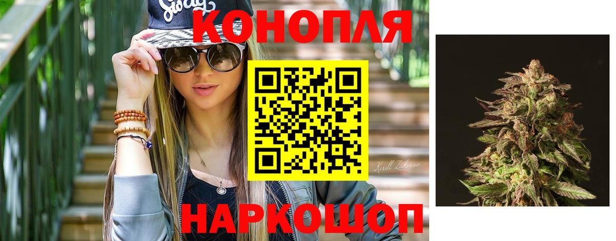 Бошки Шишки сатива Зима